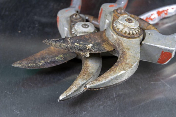 Nova zahrada - jesen